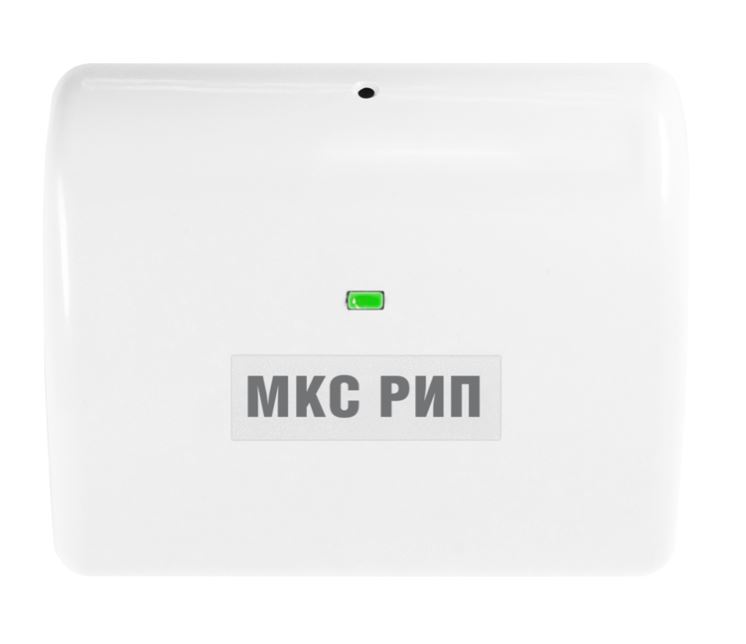 МКС РИП, Модуль контроля состояния
