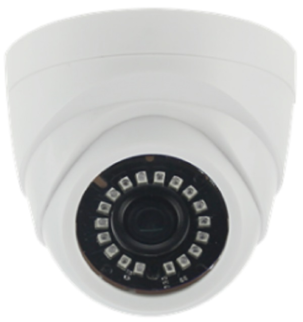 SR-ID25F36IRL, IP-камера купольная