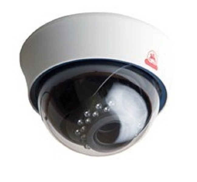 SR-ID25V2812IRL, IP-камера купольная