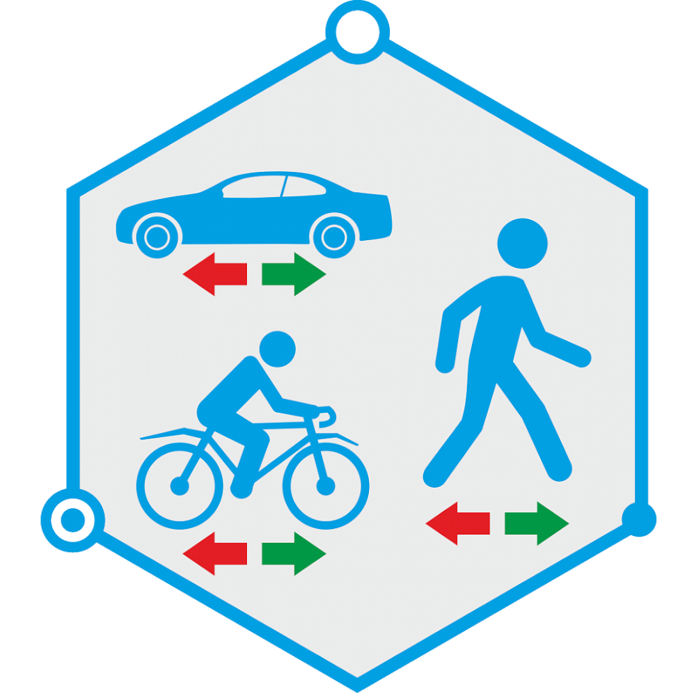 TRASSIR Direction Detector, программное обеспечение для IP-систем видеонаблюдения