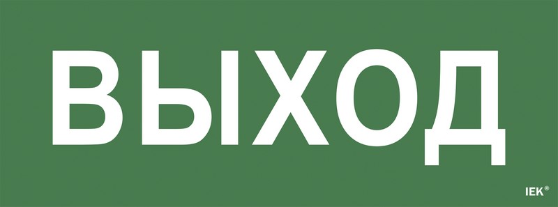 Этикетка самоклеящаяся 350х130мм "Выход" (LPC10-1-35-13-VYHD)