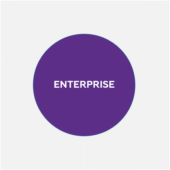 Macroscop Enterprise, программное обеспечение (опция)