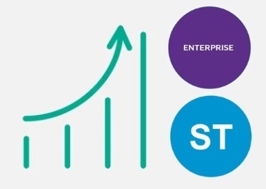 Расширение Macroscop ST - Macroscop Enterprise, программное обеспечение (опция)