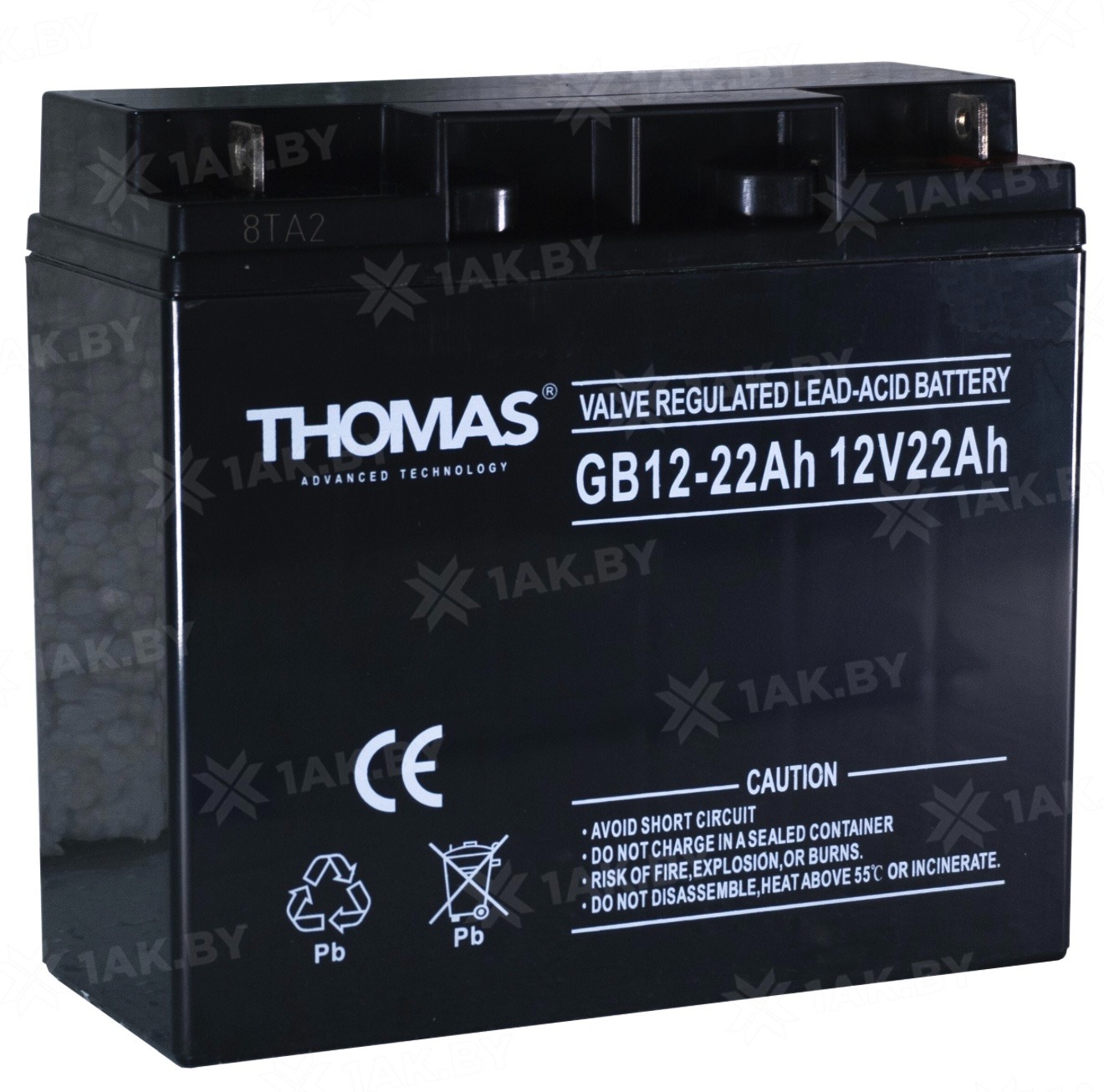Thomas GB12-22, аккумулятор герметичный свинцово-кислотный