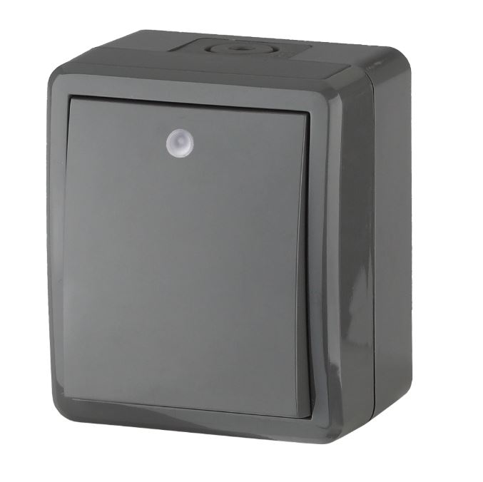 Выключатель 1-кл. ОУ Эксперт IP54 11-1402-03 250В 10АХ серый ЭРА (Б0020672), с подсветкой