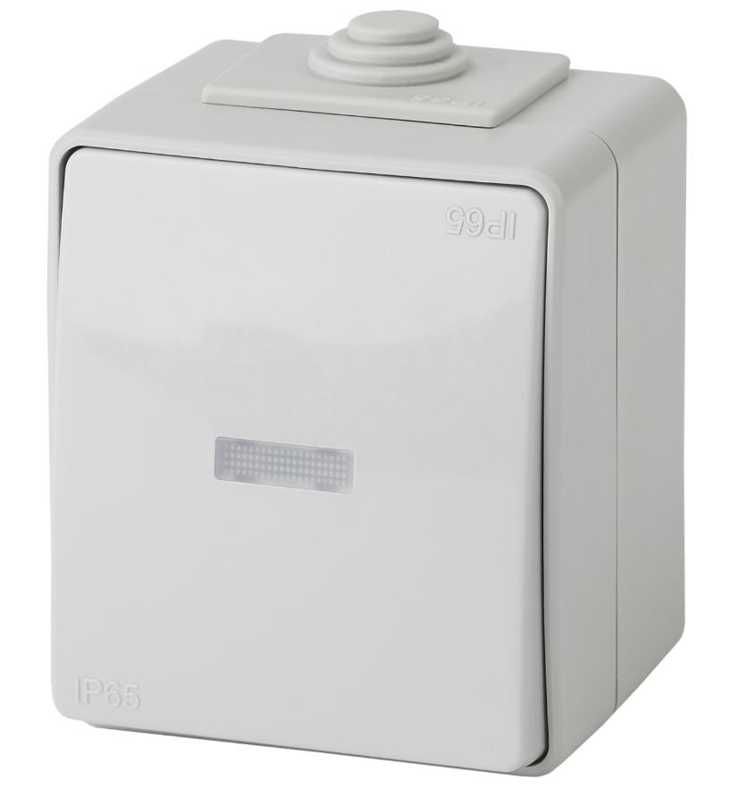 Выключатель 1-кл. ОУ Эксперт IP65 11-1602-03 250В 10АХ серый ЭРА (Б0035974), с подсветкой