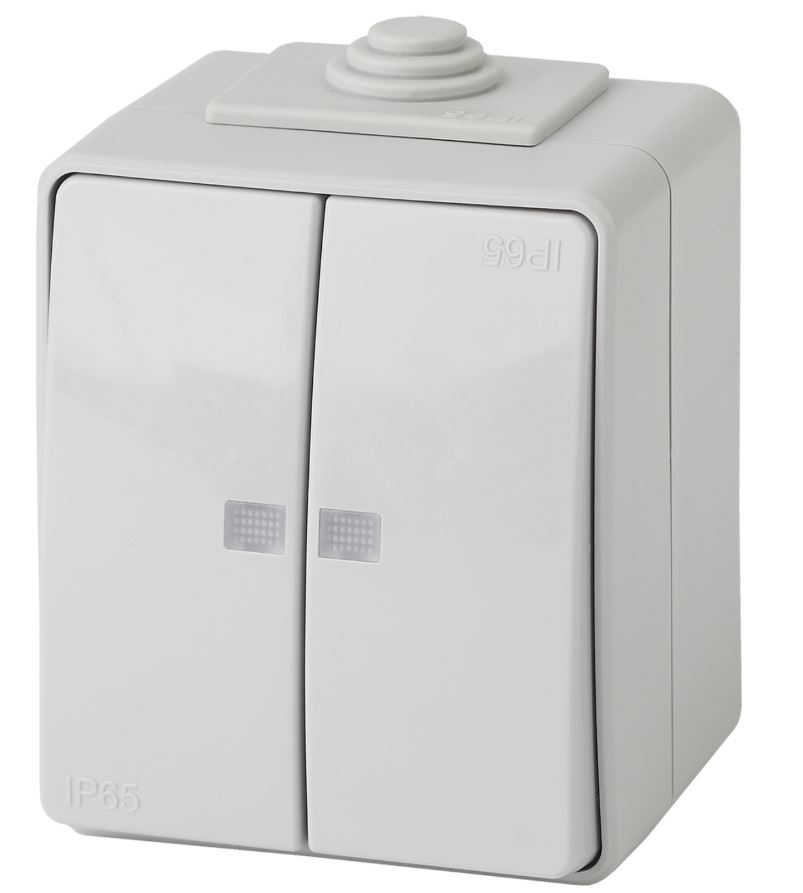 Выключатель 2-кл. ОУ Эксперт IP65 11-1605-03 250В 10АХ серый ЭРА (Б0035977), с подсветкой