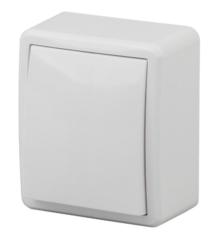 Переключатель 1-кл. ОУ Эксперт IP20 11-1203-01 250В 10АХ белый ЭРА (Б0020660)
