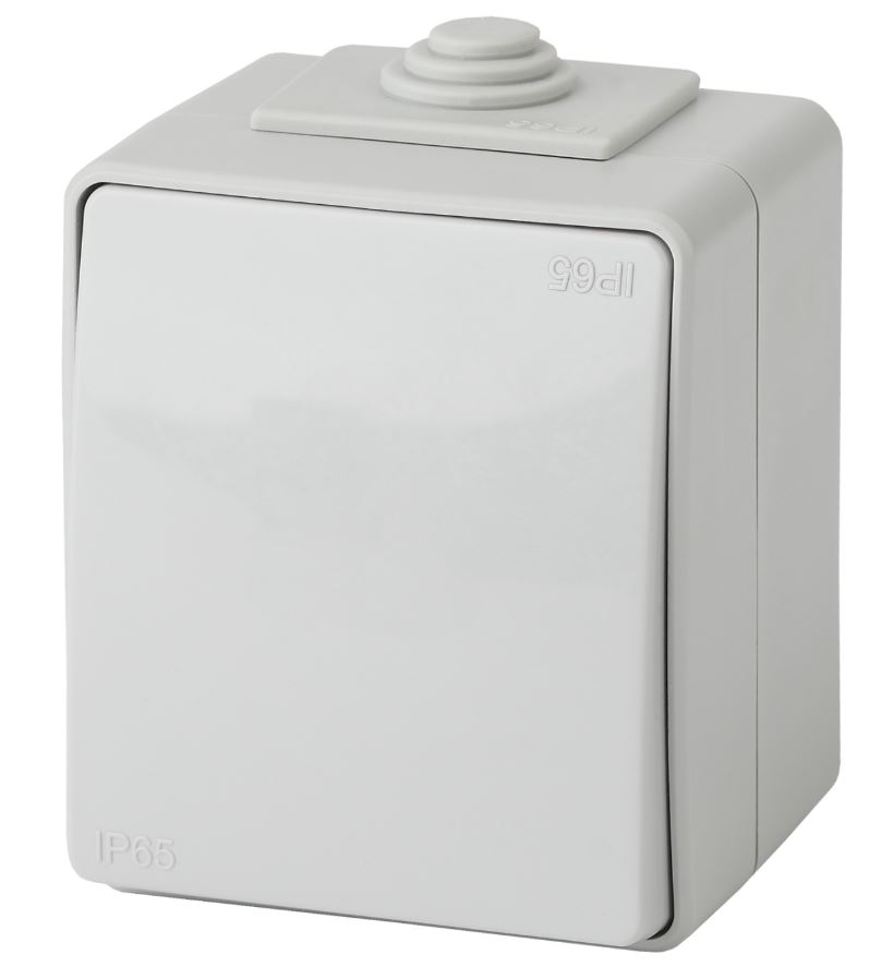 Переключатель 1-кл. ОУ Эксперт IP65 11-1603-03 250В 10АХ серый ЭРА (Б0035975)